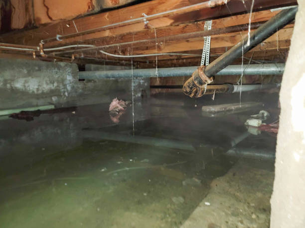 Best Water damage restoration services  in Manchester, KY