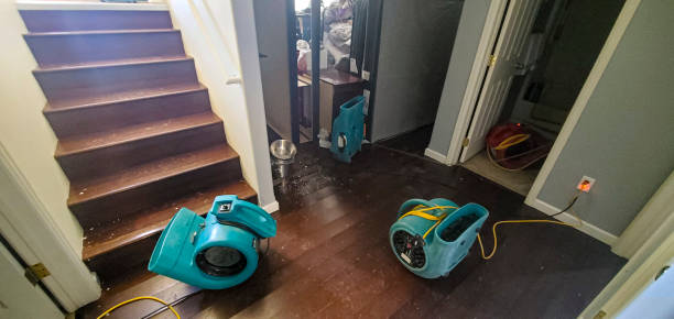 Best Water damage contractors near me  in Manchester, KY