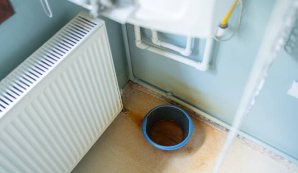 Best Carpet water damage restoration  in Manchester, KY