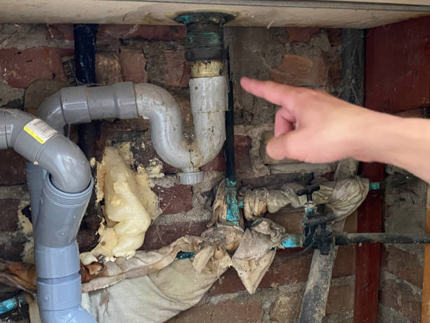 Best Sewage cleanup and water damage restoration  in Manchester, KY