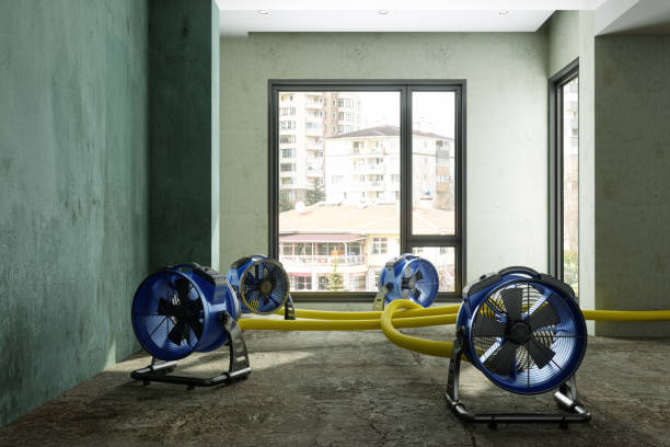 Best Sewage cleanup and water damage restoration  in Manchester, KY